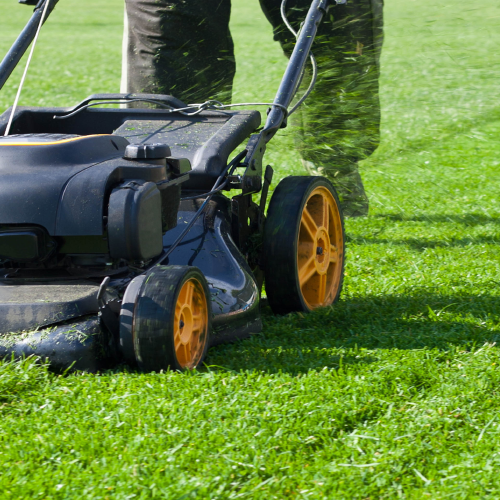 Lawn Mowing