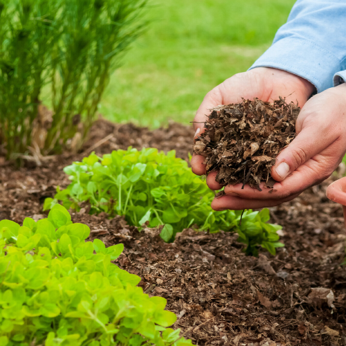 Mulching